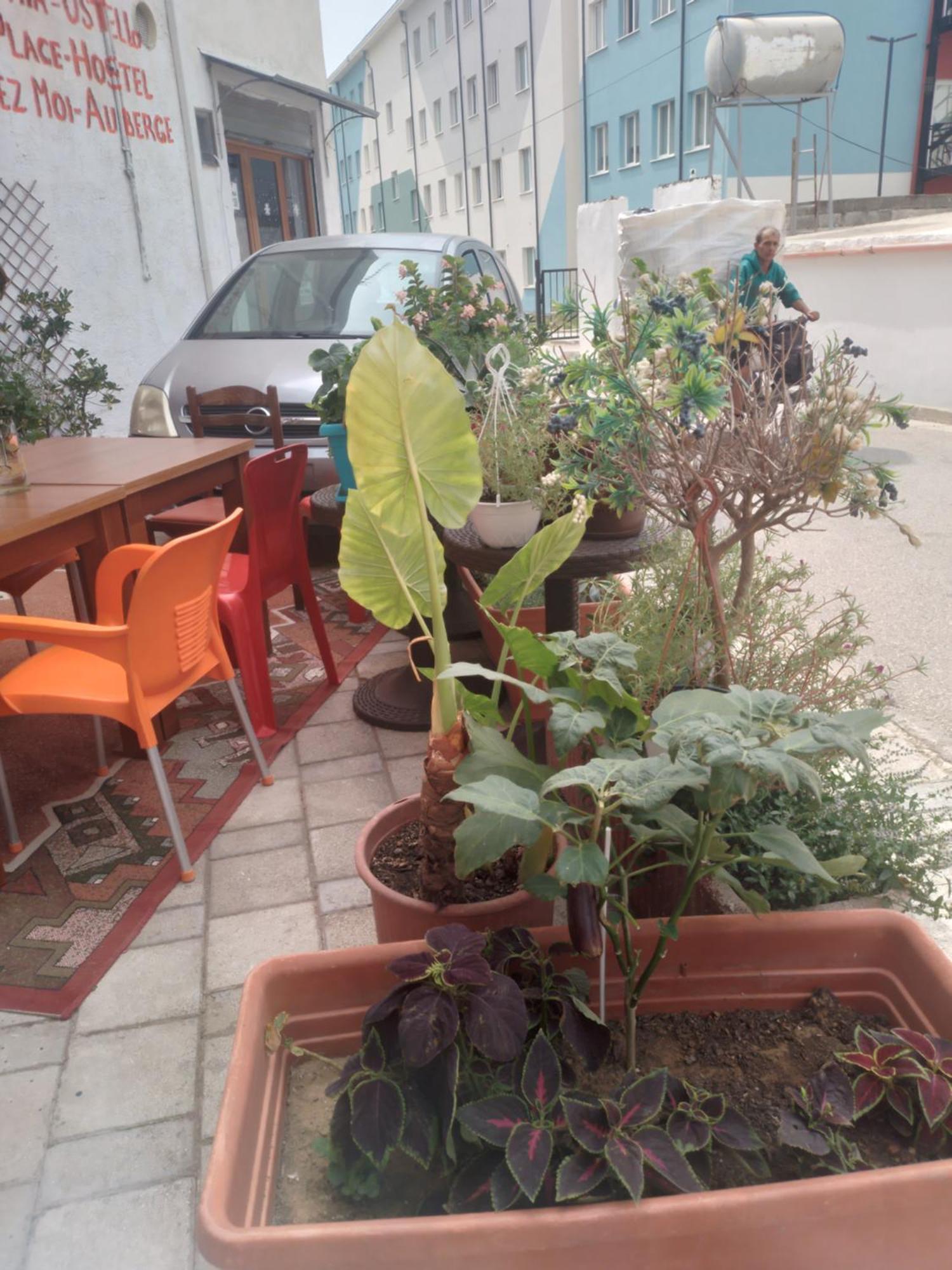 Vlorë Casa Mia 호스텔 외부 사진