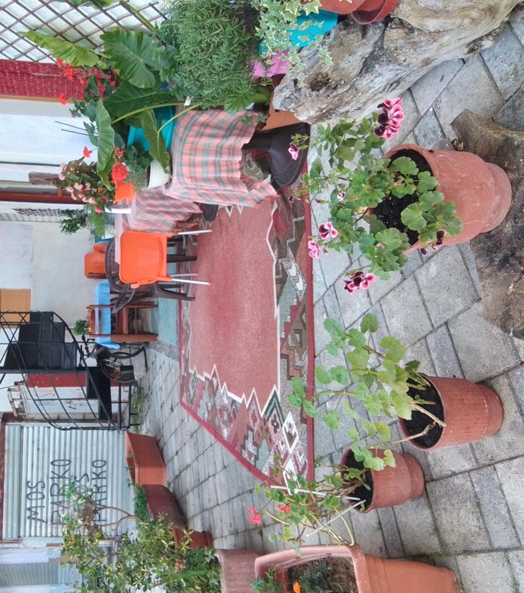 Vlorë Casa Mia 호스텔 외부 사진