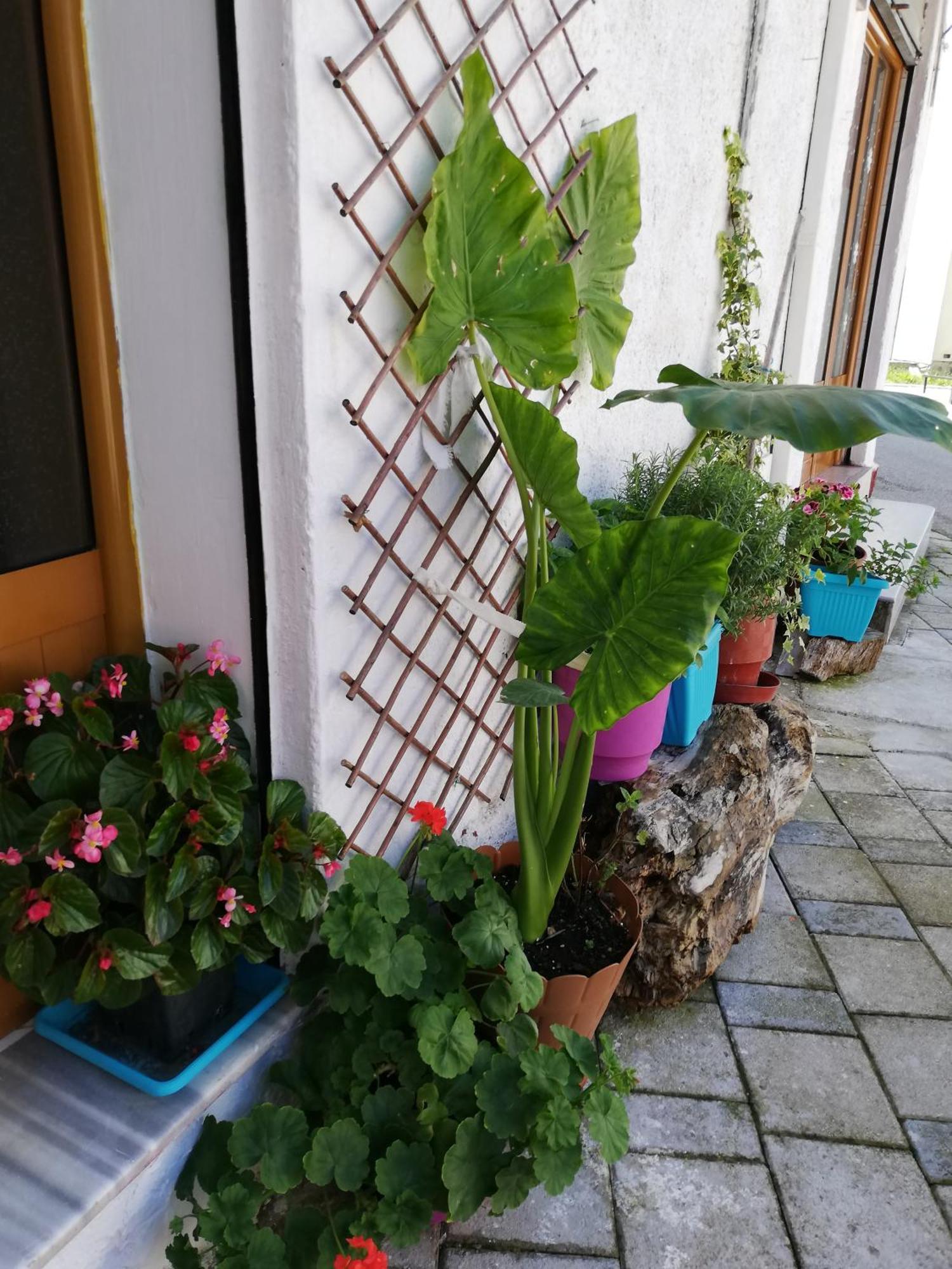 Vlorë Casa Mia 호스텔 외부 사진